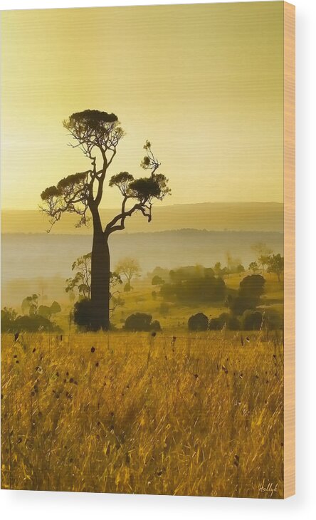 Landscapes Wood Print featuring the photograph A Boab Sunrise by Holly Kempe