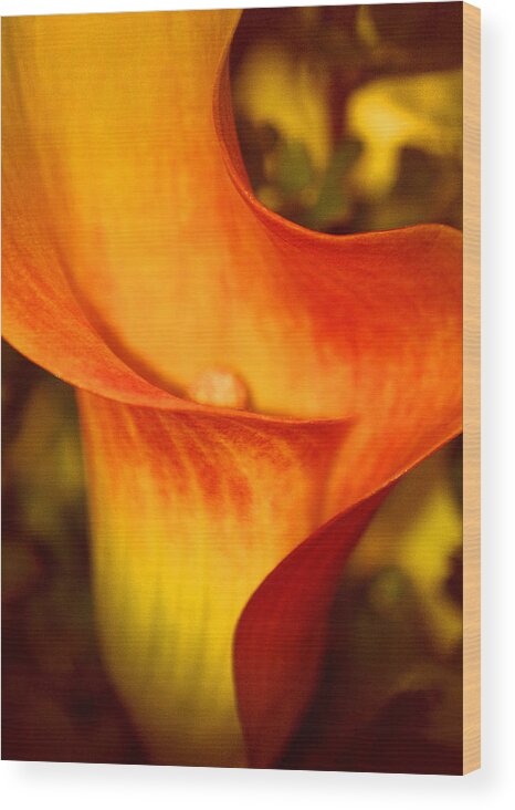 Lilies Wood Print featuring the photograph A Gift From Above by The Art Of Marilyn Ridoutt-Greene