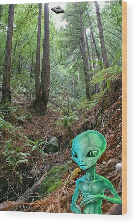 Alien Wood Print featuring the photograph Alien in Redwood Forest by Ben Upham III