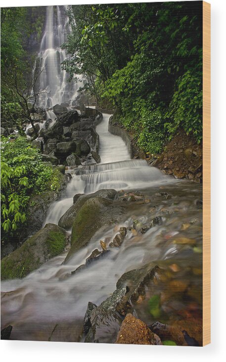 Tranquility Wood Print featuring the photograph Amboli Ghat Waterfall by Paramantapa Dasgupta