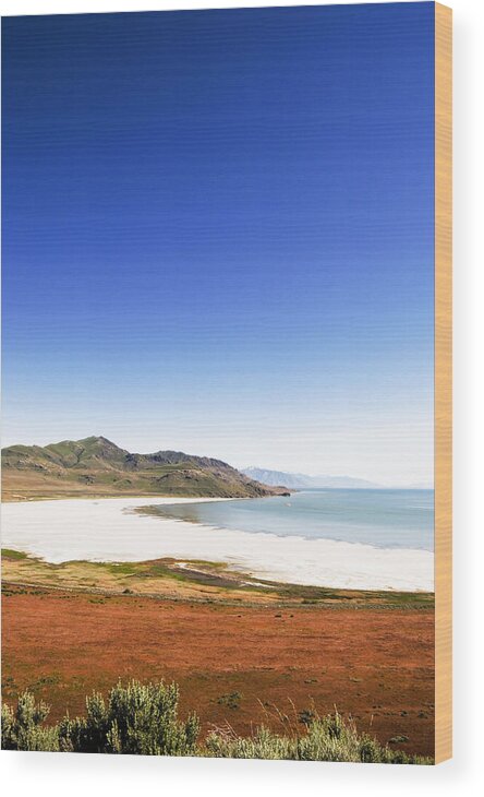 Antelope Island Photo Wood Print featuring the photograph Antelope Island and Utah Vertical by Bob Pardue