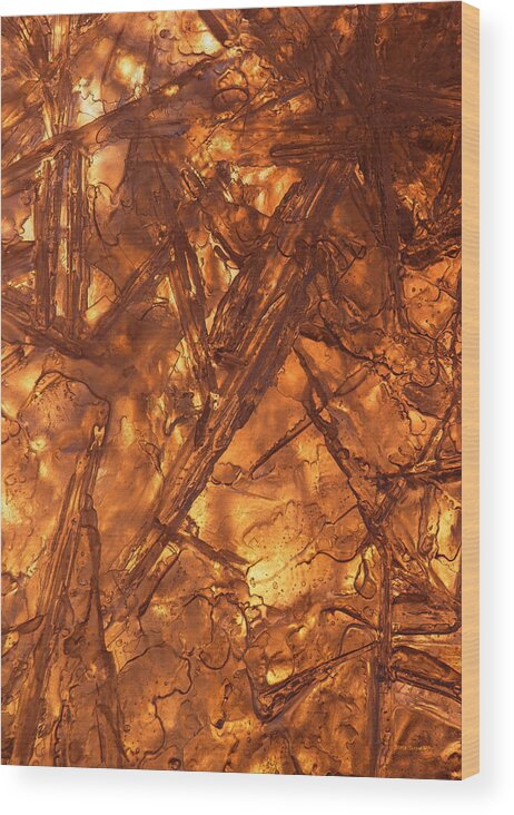 Golden Wood Print featuring the photograph Art of Ice 4 by Sami Tiainen