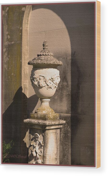 Artistic Fountain Wood Print featuring the photograph Artistic Fountain by Sonali Gangane