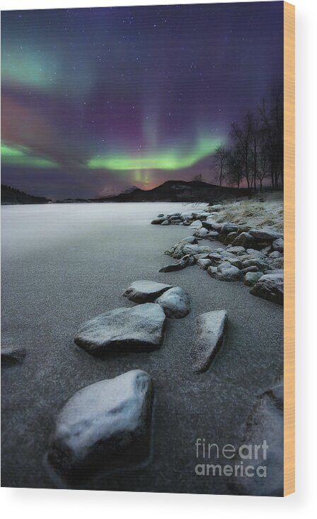 Aurora Borealis Wood Print featuring the photograph Aurora Borealis Over Sandvannet Lake by Arild Heitmann