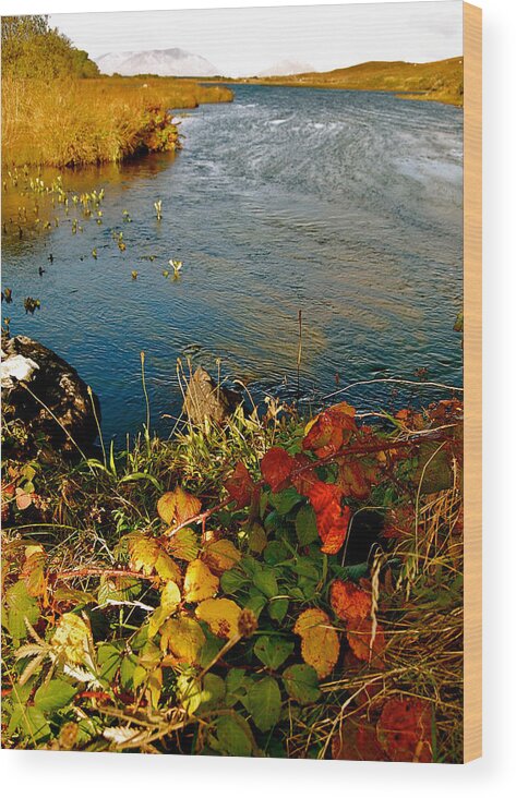 Autumn River Wood Print featuring the photograph Autumn River by HweeYen Ong