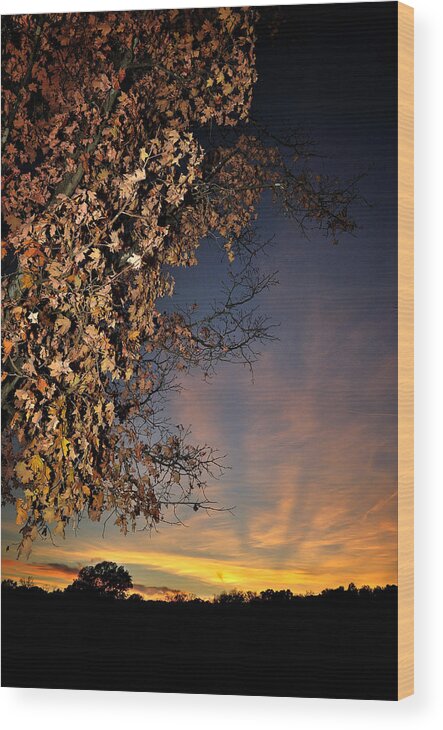 Sky Wood Print featuring the photograph Autumn Sky and Leaves 2 by George Taylor