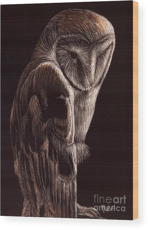 Barn Owl Wood Print featuring the photograph Barn Owl by Margaret Sarah Pardy