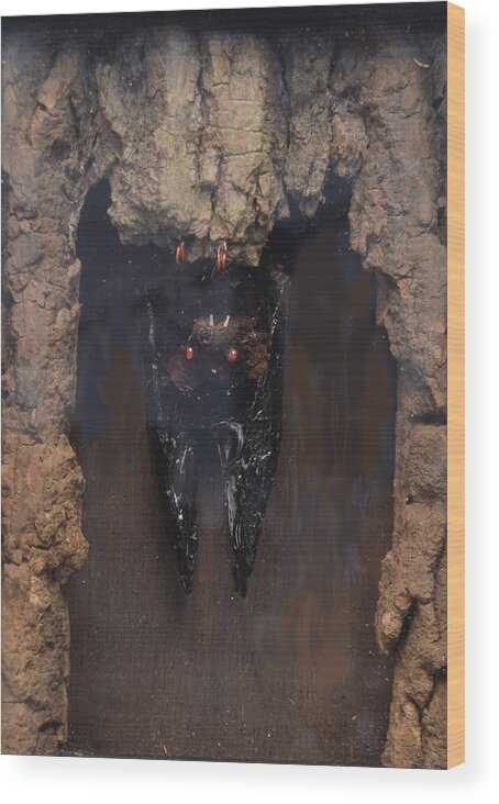 Bat Wood Print featuring the sculpture Bat in a Cave by R Allen Swezey