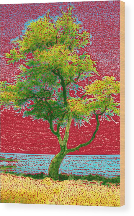 Landscape Wood Print featuring the photograph Big Island Tree by Andre Aleksis