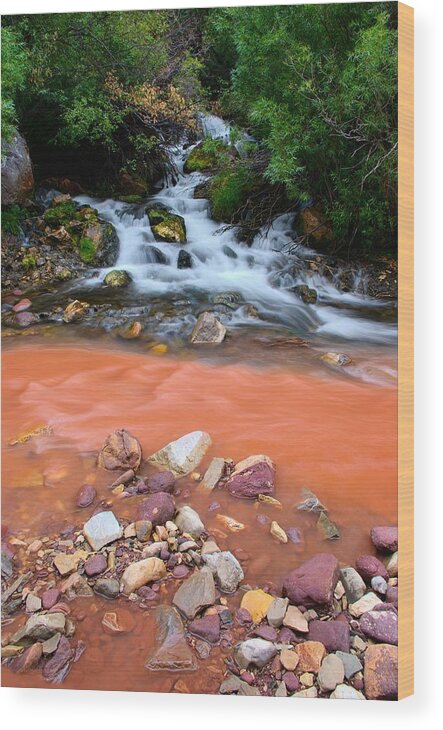 Landscape Wood Print featuring the photograph Big Spring by David Andersen