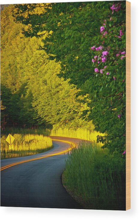 Blue Ridge Parkway Wood Print featuring the photograph Blue Ridge Afternoon by John Haldane