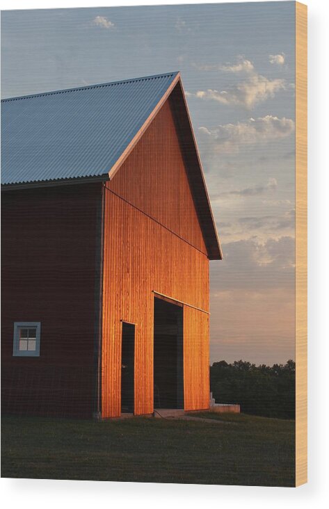 Zimmerman Wood Print featuring the photograph Braised Barn by Elizabeth Sullivan