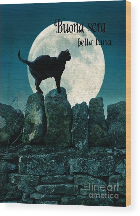 Buona Sera Bella Luna Wood Print featuring the photograph Buona Sera Bella Luna by Jill Battaglia