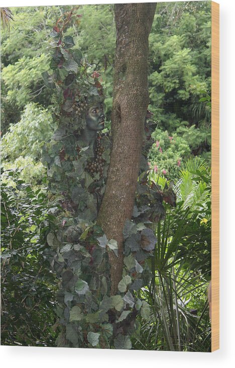 Animal Kingdom Wood Print featuring the photograph Camouflaged Exotic Creature by David Nicholls