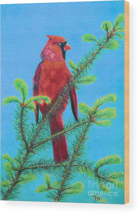 Cardinal Bird Wood Print featuring the drawing Cardinal Bird by Yvonne Johnstone