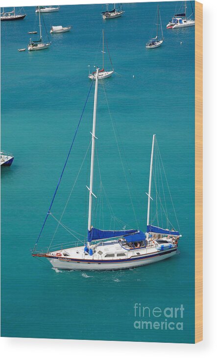 Azure Waters Wood Print featuring the photograph Caribbean Sailboat by Amy Cicconi