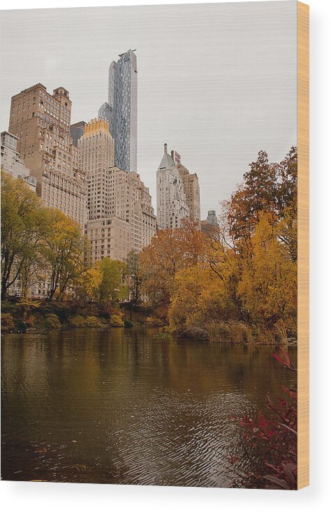 New York City Wood Print featuring the photograph Central Park by David Pratt