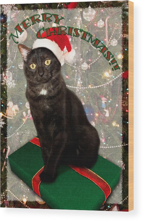 3scape Wood Print featuring the photograph Christmas Cat by Adam Romanowicz