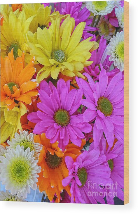 Portrait Wood Print featuring the photograph Colorful Daisies by Sami Martin
