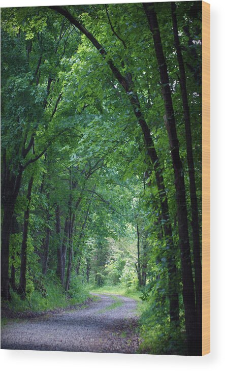 Tree Wood Print featuring the photograph Country Lane by Cricket Hackmann