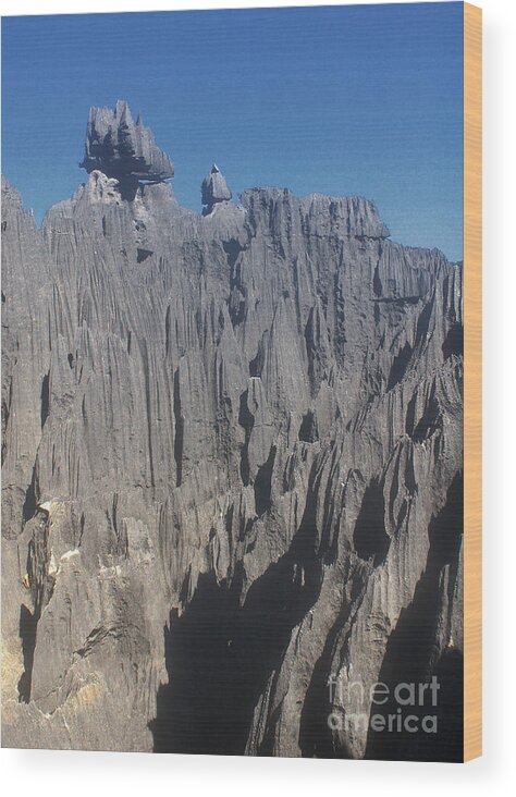 Prott Wood Print featuring the photograph detail of the Tsingy de Bemaraha Madagascar by Rudi Prott