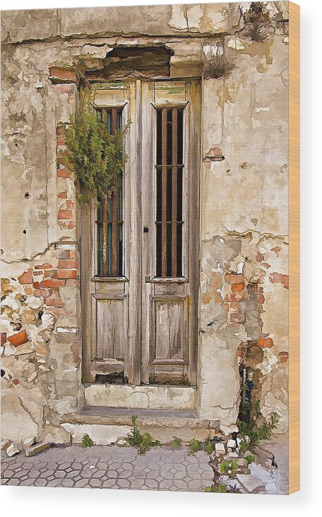 Brick Wood Print featuring the photograph Dilapidated Brown Wood Door of Portugal by David Letts