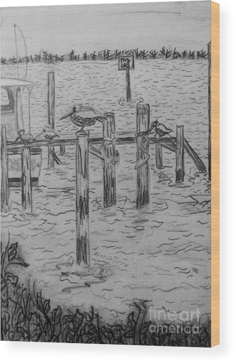 Birds Wood Print featuring the drawing Dock Sketch by Megan Dirsa-DuBois