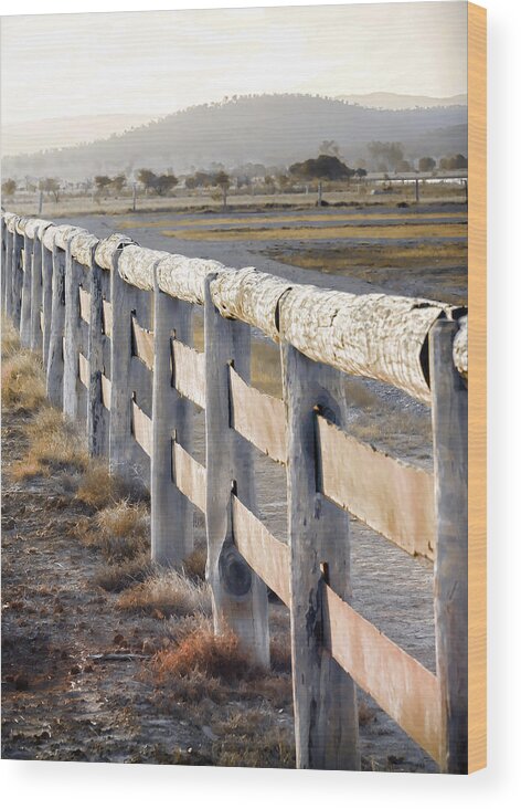 Landscapes Wood Print featuring the photograph Don't Fence Me In by Holly Kempe