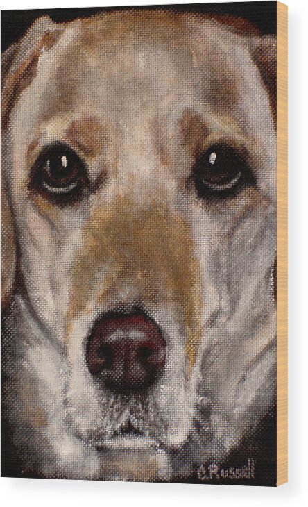 Yellow Labrador Close Up Wood Print featuring the painting Dozer by Carol Russell