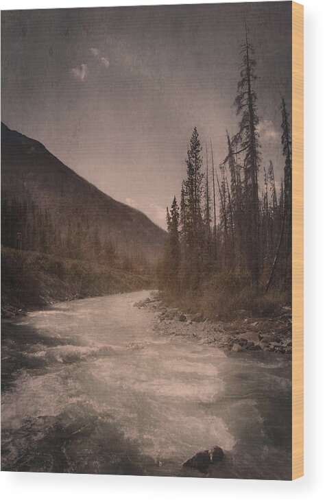 Dreamy River Wood Print featuring the photograph Dreamy River by Eduardo Tavares