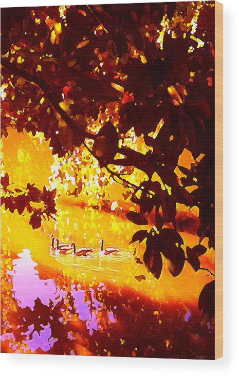 Landscapes Wood Print featuring the painting Ducks in the Disitance by Amy Vangsgard