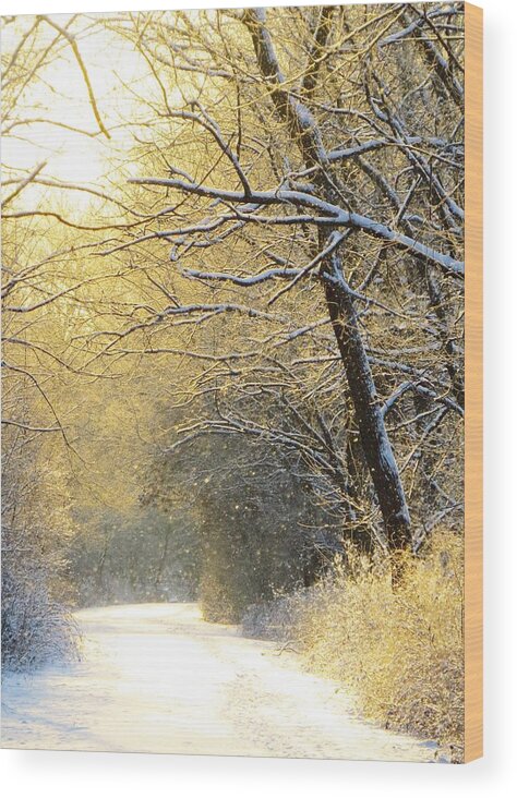 Woods Wood Print featuring the photograph Early Winter Snow by Lori Frisch