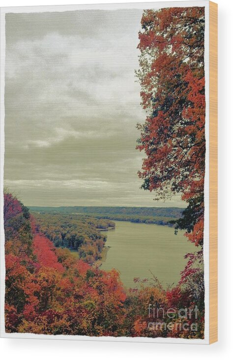 Mississippi River Wood Print featuring the photograph Fall and the Mississippi by Garren Zanker
