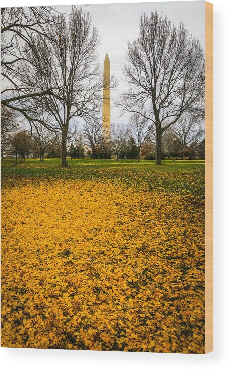 Washington Wood Print featuring the photograph Fall in Washington by Ross Henton