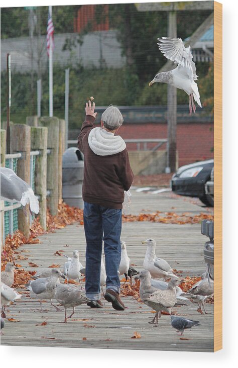 Feeding Seagulls And Pigeons Wood Print featuring the photograph Feeding Time by E Faithe Lester