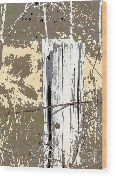 Country Wood Print featuring the photograph Fenced by Marsha Young
