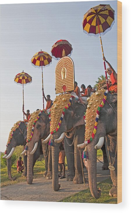 Elephant Wood Print featuring the photograph Kerala festival elephants by Dennis Cox