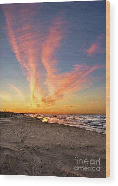 Beach Wood Print featuring the photograph Fire in the Sky by Brett Maniscalco