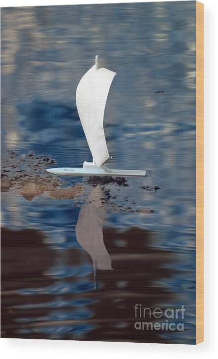Sail Wood Print featuring the photograph First Sail by Rebecca Parker