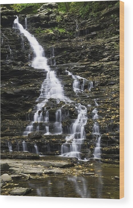 Ricketts Glen Wood Print featuring the photograph FL Ricketts Falls by Paul Riedinger