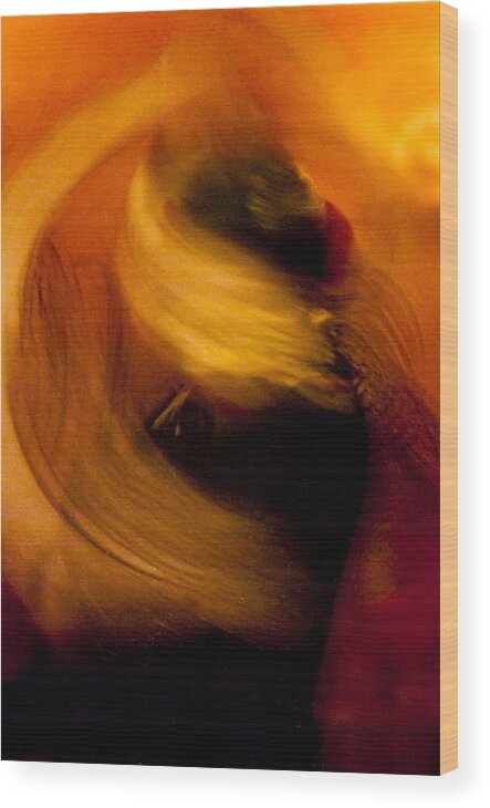 Acrilyc Prints Wood Print featuring the photograph Flamenco Series 16 by Catherine Sobredo