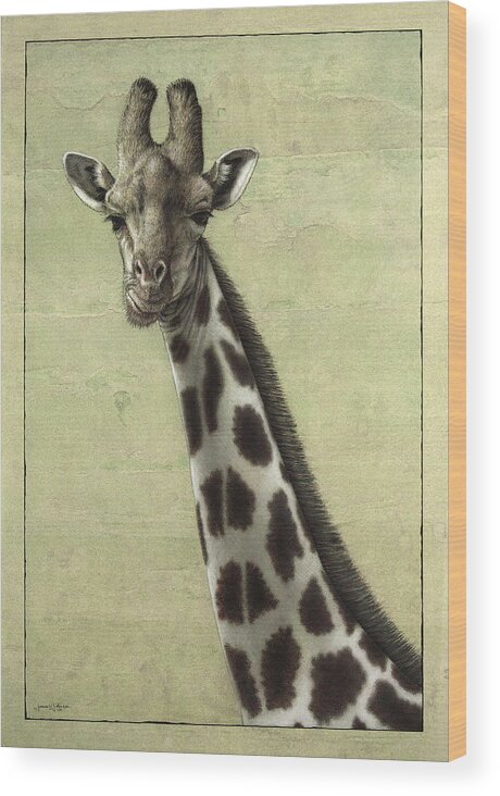 Giraffe Wood Print featuring the painting Giraffe by James W Johnson