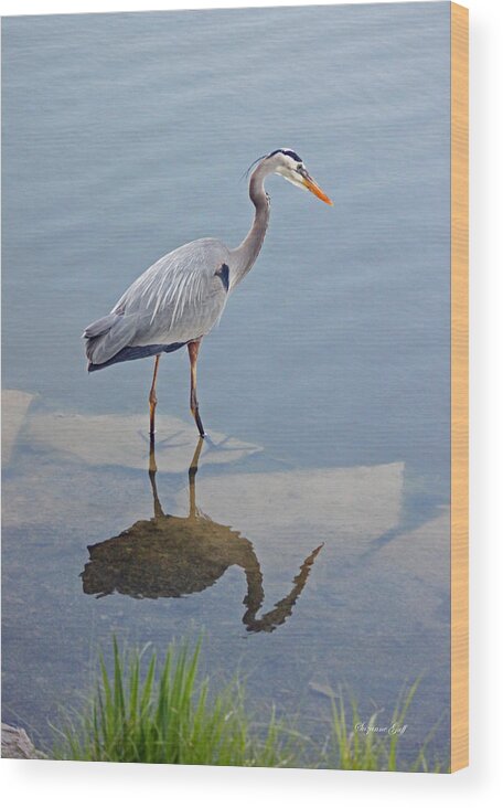 Heron Wood Print featuring the photograph Great Blue Heron I by Suzanne Gaff