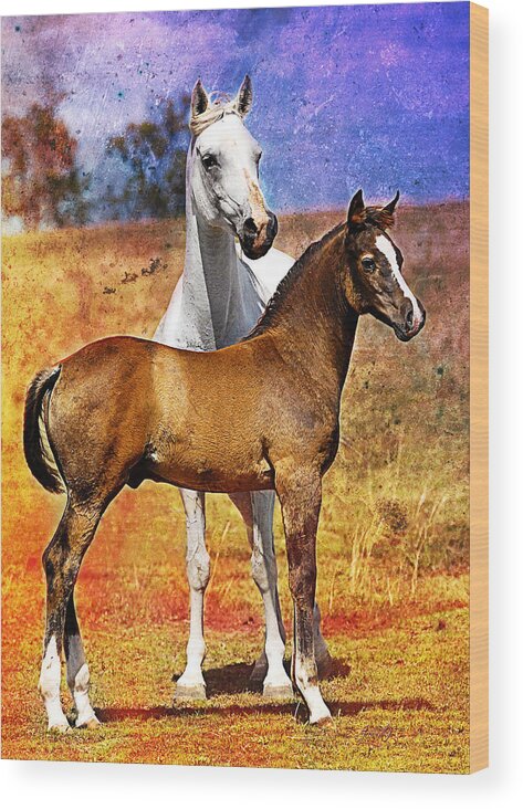 Horse Wood Print featuring the digital art Grey Arabian Mare and Colt by Janice OConnor