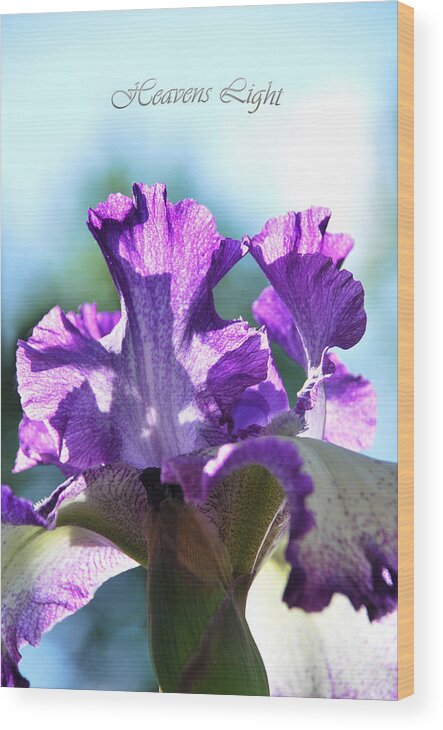 Purple Iris Wood Print featuring the photograph Heavens Light by Linda Segerson