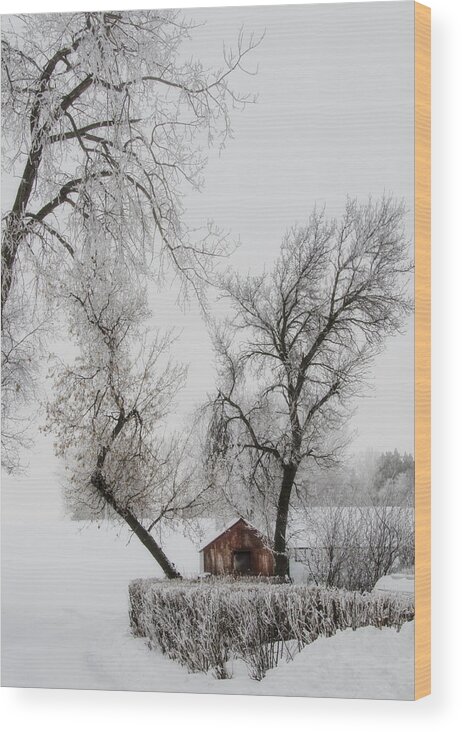 Winter Wood Print featuring the photograph Hide Away by Sandra Parlow