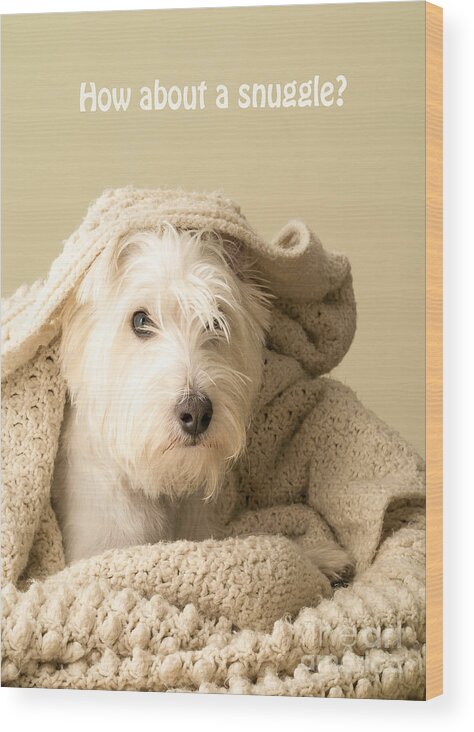 Cute Wood Print featuring the photograph How about a snuggle card by Edward Fielding