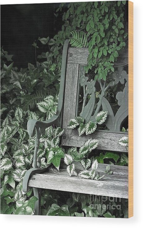 Bench Wood Print featuring the photograph I Cling to the Memories by Ellen Cotton