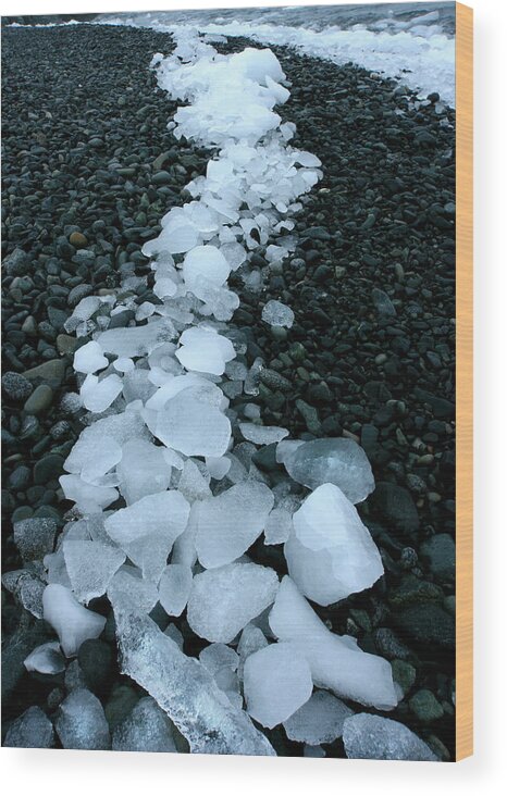 Iceberg Wood Print featuring the photograph Ice Pebbles by Amanda Stadther