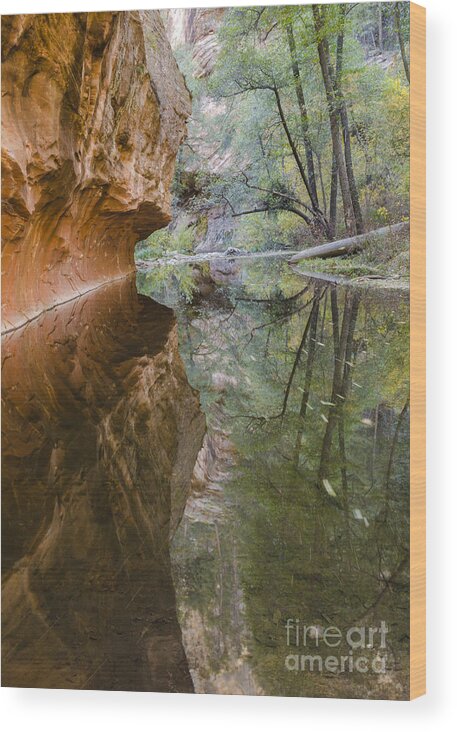 West Fork Wood Print featuring the photograph Iconic by Tamara Becker